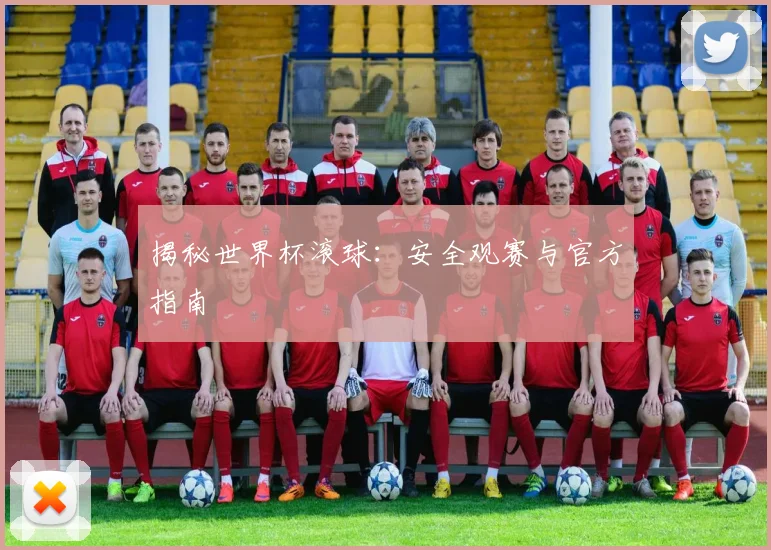 揭秘世界杯滚球：安全观赛与官方指南