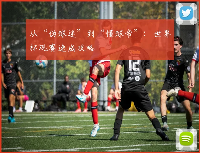从“伪球迷”到“懂球帝”：世界杯观赛速成攻略