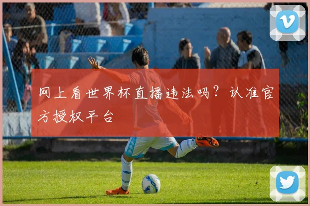 网上看世界杯直播违法吗?认准官方授权平台