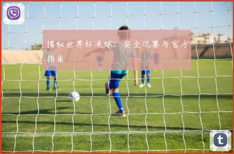 揭秘世界杯滚球：安全观赛与官方指南